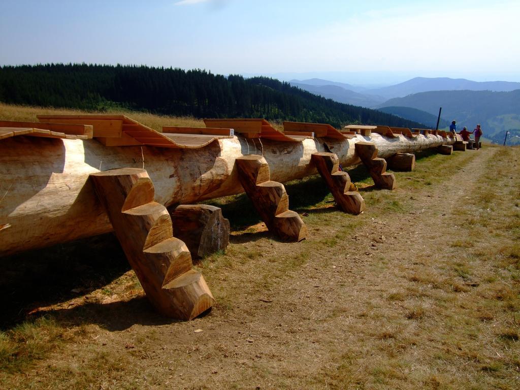 Bergseele Privat- & Retreathotel Schwarzwald تودتنوبرغ المظهر الخارجي الصورة