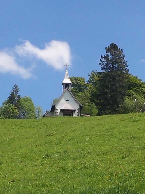 Bergseele Privat- & Retreathotel Schwarzwald تودتنوبرغ المظهر الخارجي الصورة