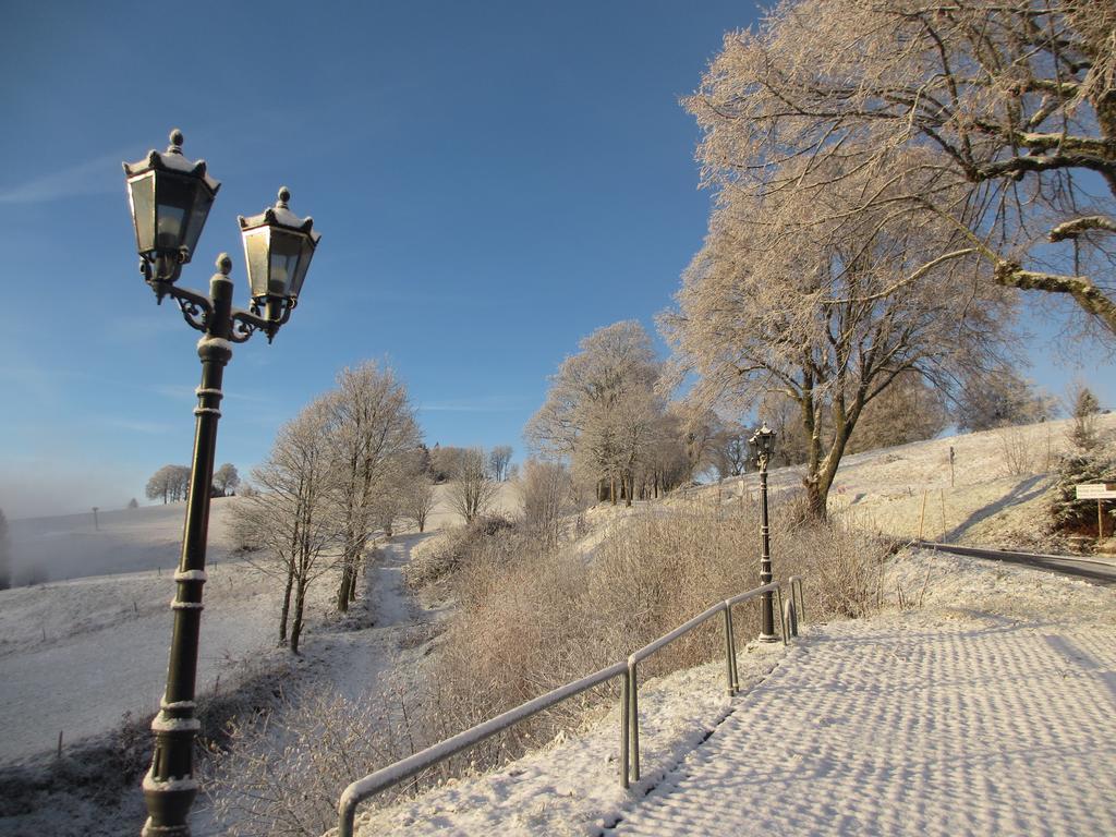 Bergseele Privat- & Retreathotel Schwarzwald تودتنوبرغ المظهر الخارجي الصورة