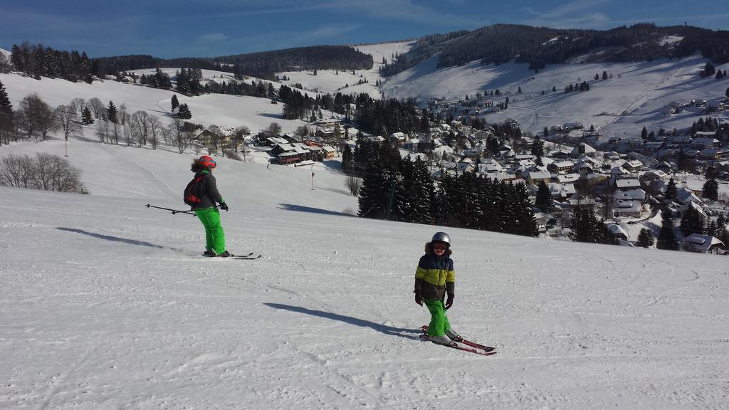 Bergseele Privat- & Retreathotel Schwarzwald تودتنوبرغ المظهر الخارجي الصورة