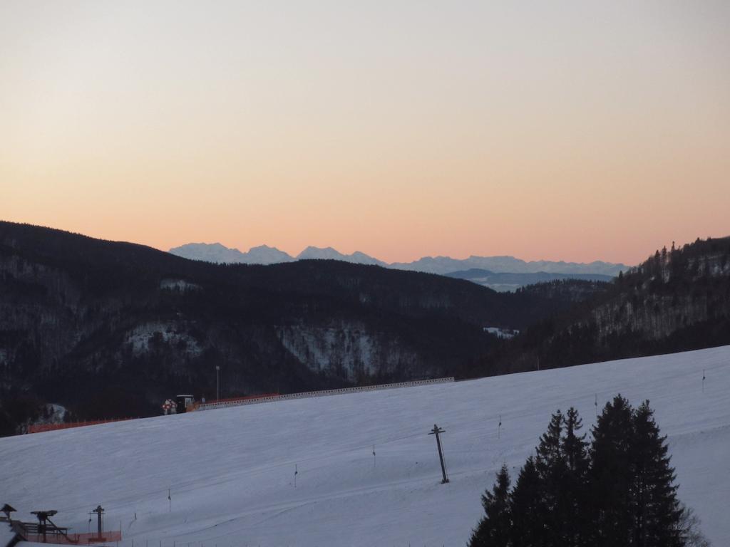 Bergseele Privat- & Retreathotel Schwarzwald تودتنوبرغ المظهر الخارجي الصورة