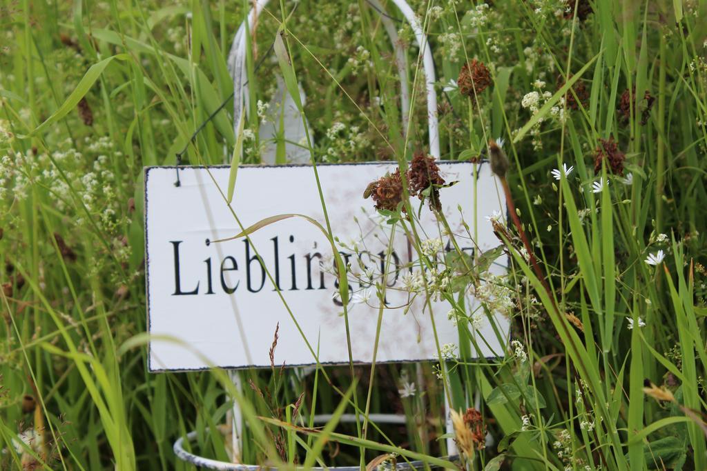Bergseele Privat- & Retreathotel Schwarzwald تودتنوبرغ المظهر الخارجي الصورة